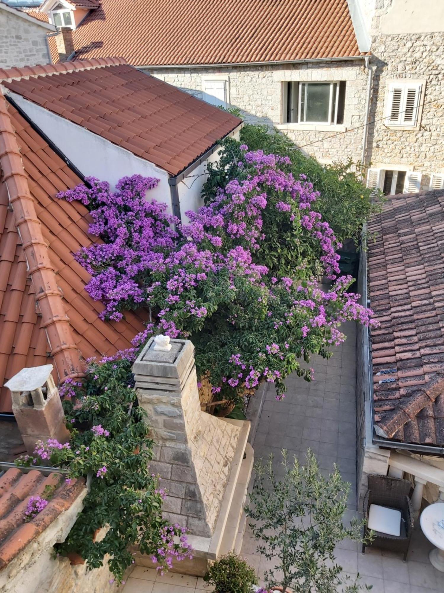 Vila Dora Supetar Διαμέρισμα Δωμάτιο φωτογραφία